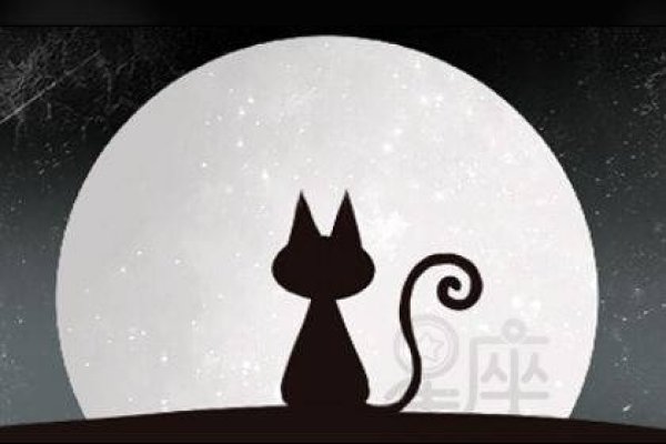 梦境解析，梦见猫的深层含义-方知甜