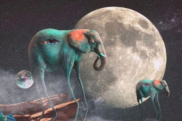 梦见三头蛇，梦境的奥秘与心灵深处的启示-方知甜