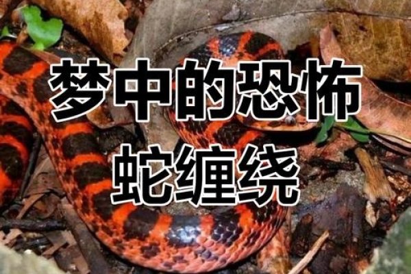 梦见杀蛇，一场惊悚梦境背后的神秘召唤-方知甜