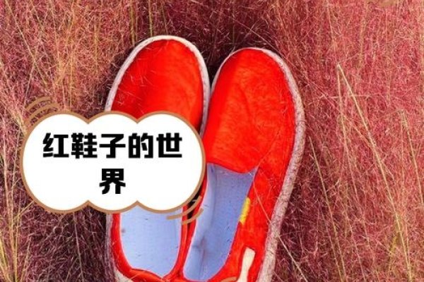 梦见他人穿红鞋，好运与爱情收获的象征-方知甜