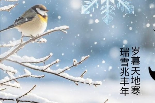 梦见下大雪,不同年龄段女性各有预兆,事业财运或旅途平安。-方知甜