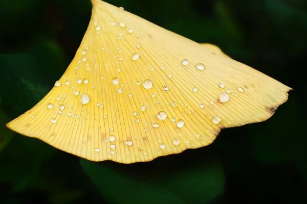 梦见剪发预示财运好转、生活安稳，或表明寻求改变-方知甜