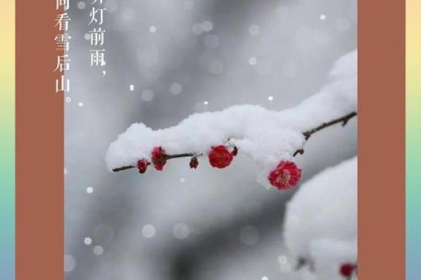 梦见下雪，冬季的诗意与心灵慰藉-方知甜