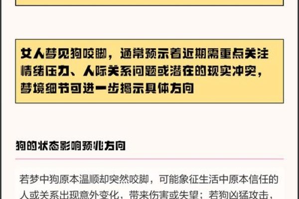 梦见狗咬脚，梦境背后的深层含义与解析-方知甜