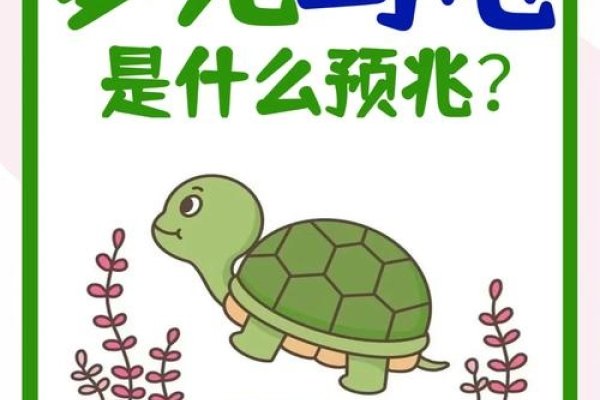 梦见乌龟咬人，梦境背后的深层含义与解析-方知甜