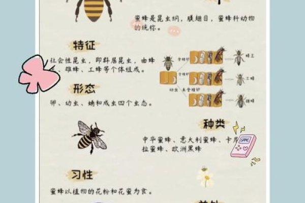 梦境中的蜜蜂，一窥人类对自然与生命的诗意解读-方知甜