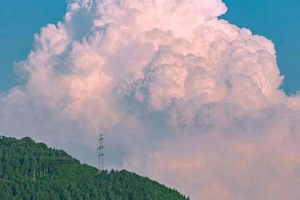 梦境中的车祸，一场无法逃避的罪恶感-方知甜