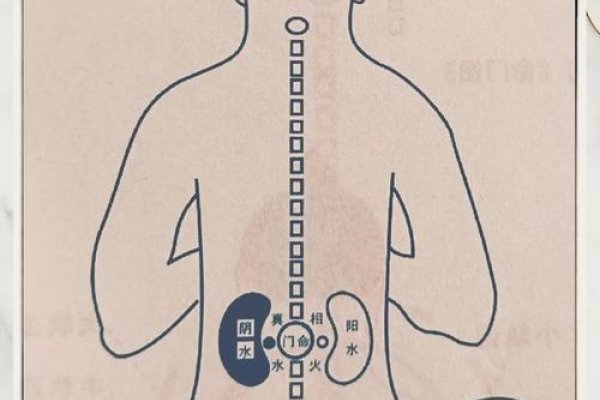 命理学入门，探索个人命运的神秘之门-方知甜