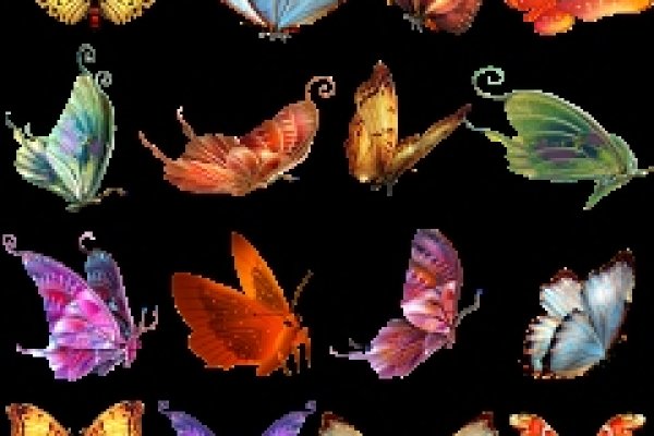 目迷五色，蝴蝶更贴切-方知甜