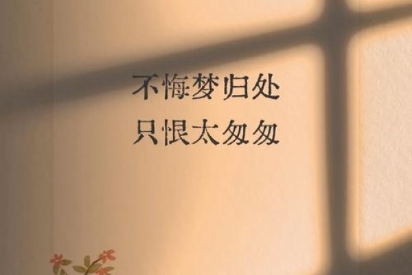 梦入旧时，当梦境为旧情的告别，我们都在各自的命运轨迹中书写着温柔-方知甜