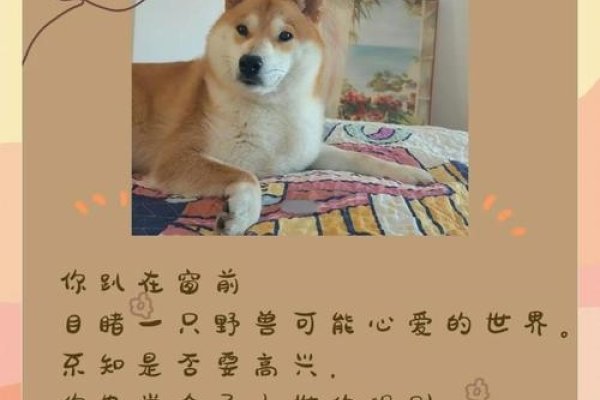 梦入群狗，寻得生机与希望-方知甜