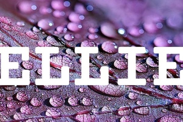 美式英文名，大胆运用Ellie的魅力-方知甜