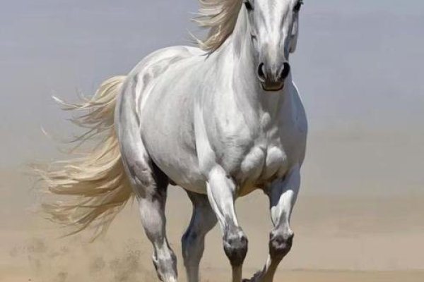 马为代表迅速奔跑，探索未知。-方知甜