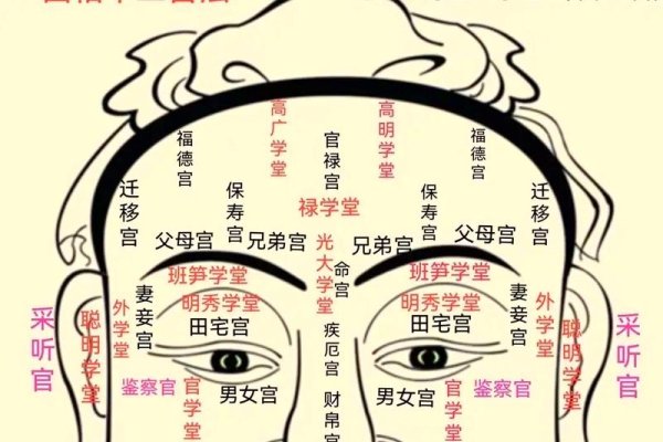 面相看财运，揭秘古老智慧与现代解读-方知甜