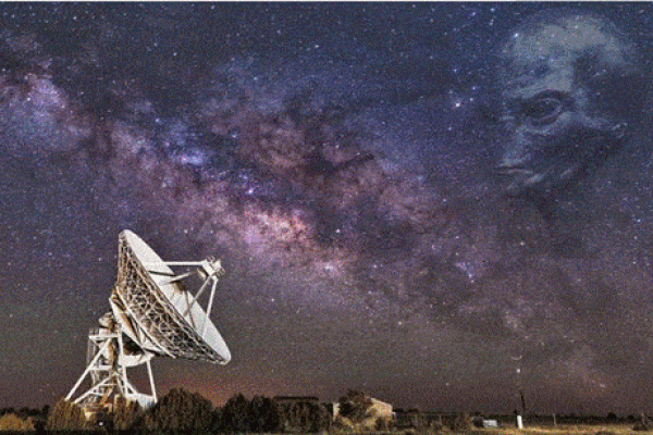 梦遇蛇行，解密梦境中的神秘信号-方知甜