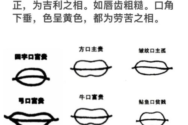 面相嘴唇，解读唇形与命运的微妙关联-方知甜