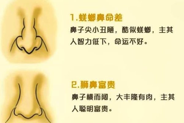 面相学，鼻子形状透露你的命运与性格-方知甜
