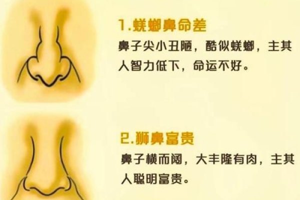 面相学，鼻子形状揭秘财运与性格-方知甜