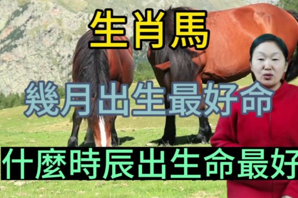 马是锦绣前程的最佳生肖-方知甜