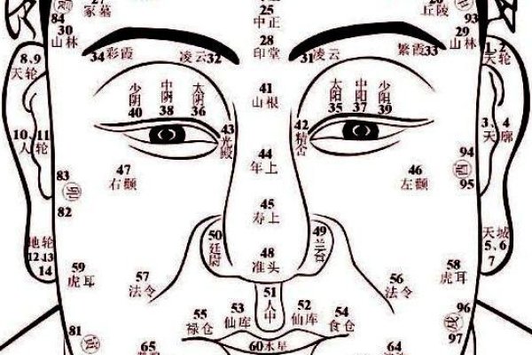 面相鼻子，解读人生运势的微妙密码-方知甜