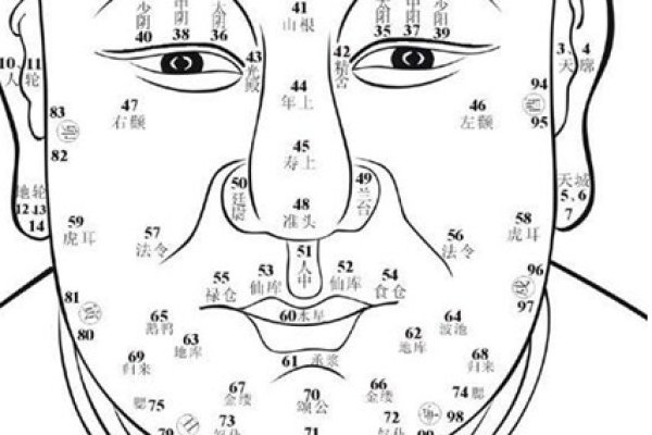 面相学中的鼻子图解，解读命运的微妙线索-方知甜