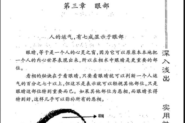 面相与眼睛，探索眼神中的秘密-方知甜