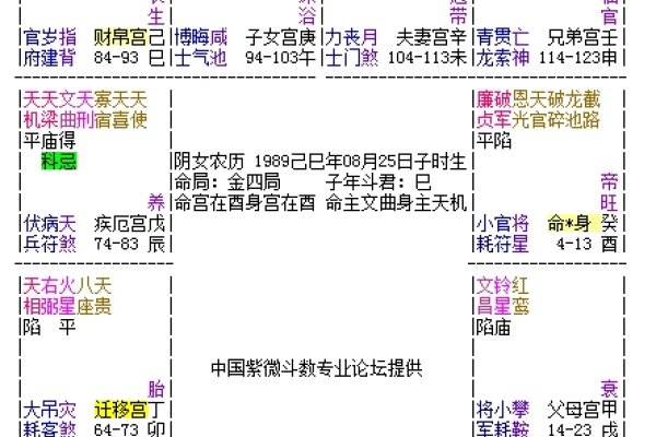 命盘怎么看,解锁个人命运的神秘钥匙-方知甜