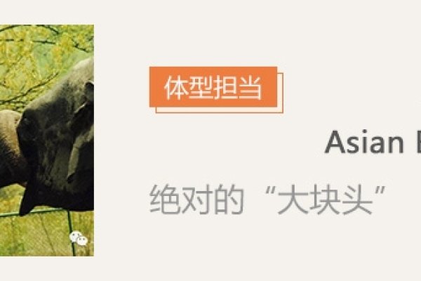 名扬四海，揭秘与生肖相关的传奇动物-方知甜