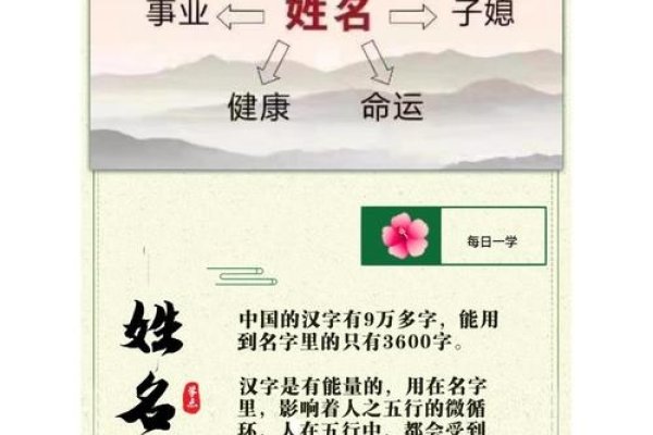 名字打分网，探索姓名背后的奥秘-方知甜