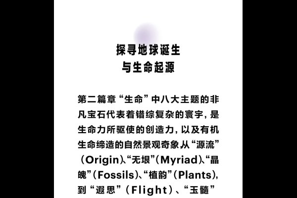 梦中的年轮，岁月的根系与生命的密码-方知甜