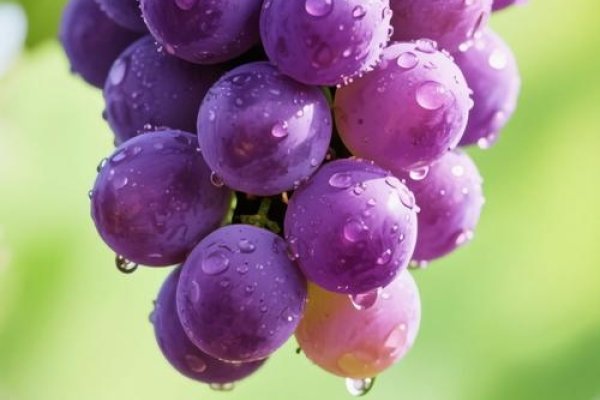 梦中的葡萄，葡萄的甜蜜图腾与心灵的慰藉-方知甜