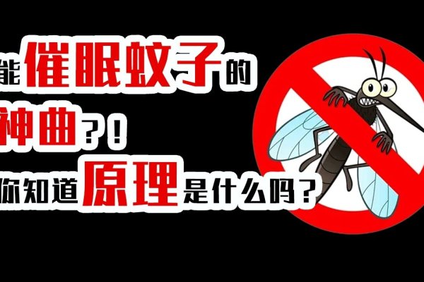 梦中的蚊子，微小却深刻的启示-方知甜