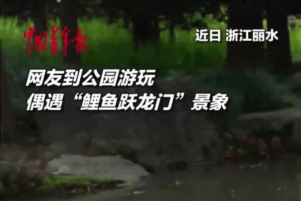 梦中大鱼跳出，预示梦想成功与未来可期-方知甜