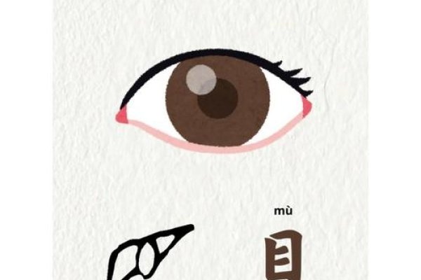 目字旁含双关义，如眼睛指专注、观察；瞳子有异常反应等含义。-方知甜