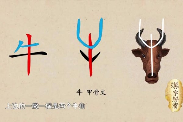 牛的名字，探索动物命名背后的故事与意义-方知甜