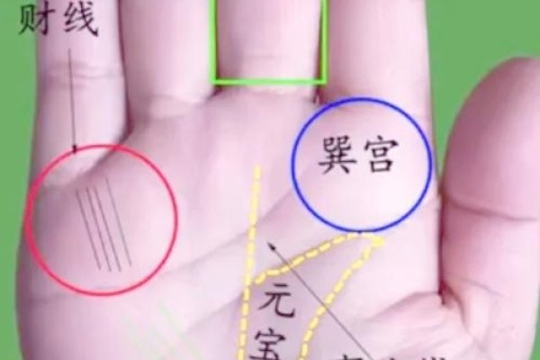 女性财富纹，M形、井字与玉井，预示事业兴旺财运旺-方知甜