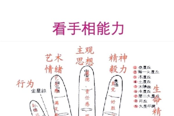 女性右手手相图解，解读命运与性格的秘密-方知甜