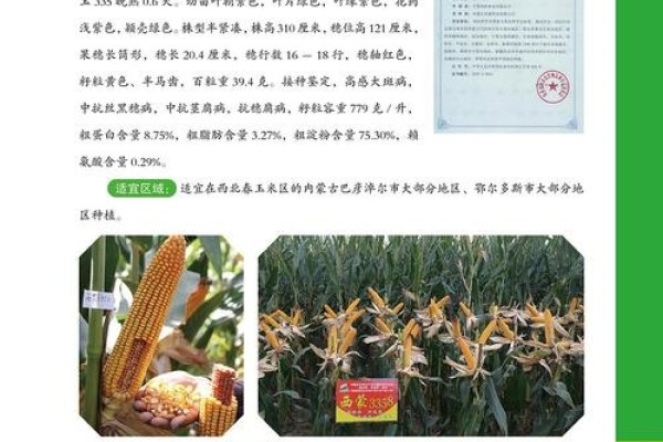 农业公司命名指南，望隆寓意发展，选名需谨慎避侵权风险-方知甜