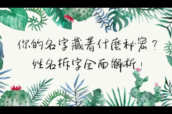 品味个性名字，让名字成为性格的隐秘表达-方知甜