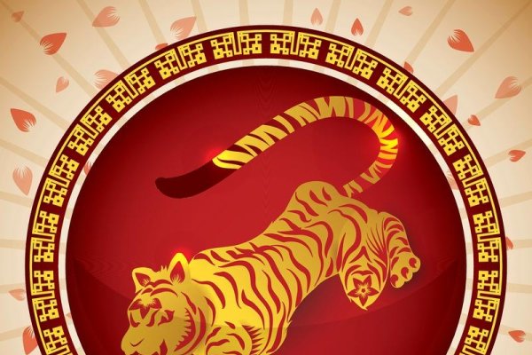 气场弱属虎人慎穿红色，易增压力损健康-方知甜