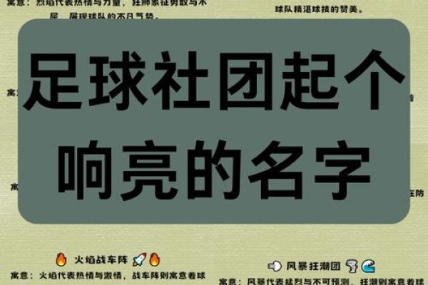 球队名字，创意与历史的交响曲-方知甜