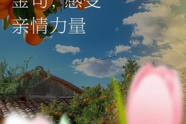 情深同根，家族亲友的温馨港湾-方知甜