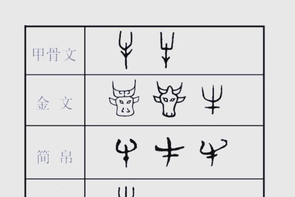 其貌不扬，生肖谜底揭晓，牛！-方知甜