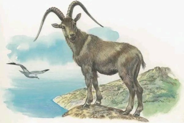 千丝万缕对应生肖羊，形象与文化双重解析-方知甜