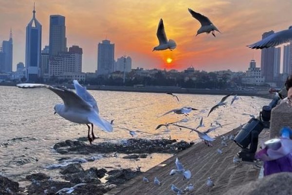 青岛，海风轻拂下的城市聊天-方知甜