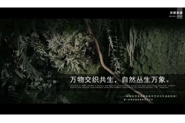 清逸之名，以清新之名，缔造专属网感-方知甜