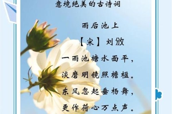 清扬，美好语言的诗意之美-方知甜