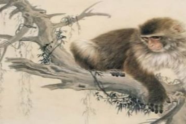 人面桃花映红颜，生肖属猴智机敏-方知甜