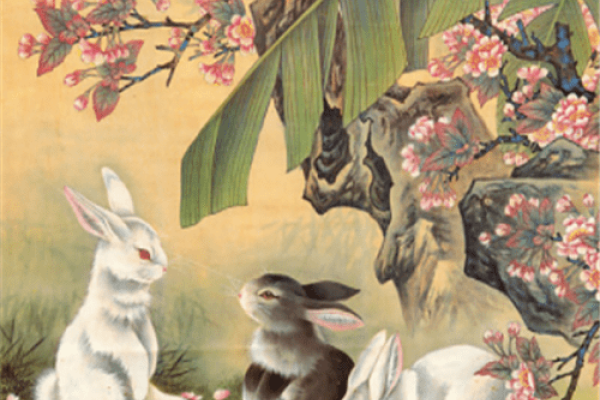 如沐春风生肖兔与龙相关-方知甜