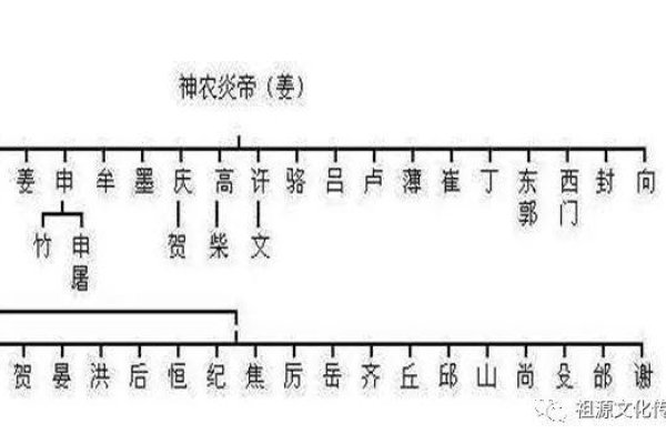 任姓的由来，追溯历史长河中的家族血脉-方知甜